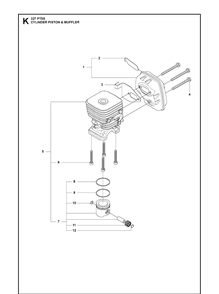 Cylinder, Piston And Muffler Diagram and Parts List for 20120100001-Current Husqvarna Pole Saw