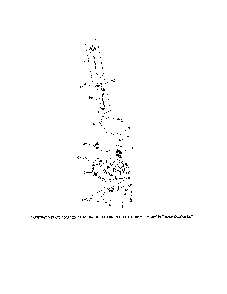 Lubrication Diagram and Parts List for  Husqvarna Lawn Mower