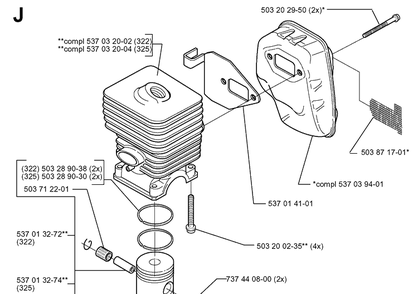 Cylinder Piston Diagram and Parts List for 20000100001-20020100000 Husqvarna Edger