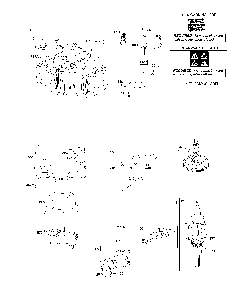 Cylinder/crankshaft/piston/rings Diagram and Parts List for  Husqvarna Lawn Mower