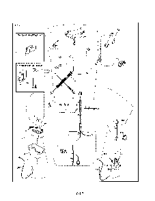 Electrical Diagram and Parts List for  Husqvarna Lawn Tractor