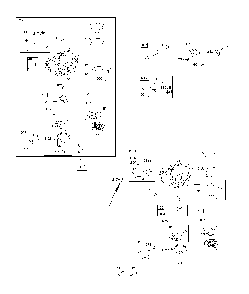 Part Location Diagram of 596039 Briggs and Stratton Solenoid-fuel