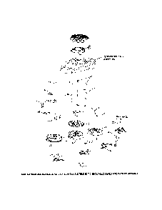 Ignition/charging Diagram and Parts List for  Husqvarna Lawn Mower