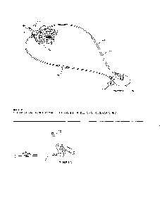 Lever/cable rotator/steer cable Diagram and Parts List for  Poulan Snow Blower