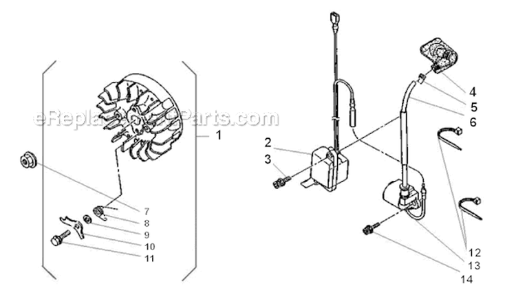 Flywheel Diagram and Parts List for  Shindaiwa Chainsaw