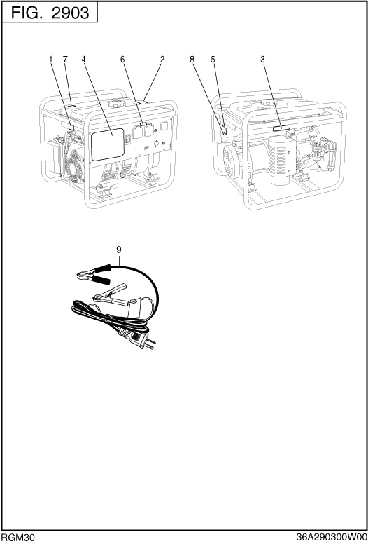 Accessorieslabel Diagram and Parts List for RGM30018010 RGX3000 Subaru Generator