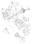 Page D Diagram and Parts List for  Tanaka Chainsaw