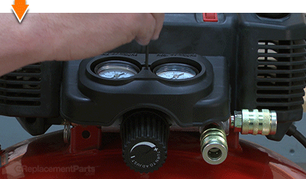 Remove the manifold screw