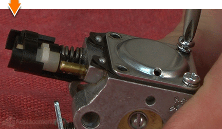 Remove the screws