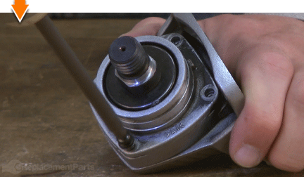 Remove the screws