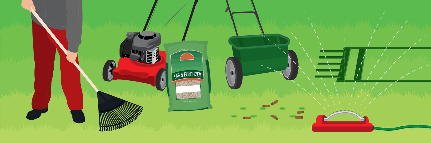 7 Lawn Care Tips For Spring