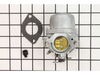 Carburetor – Part Number: 799728