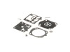 10049435-2-S-Echo-P033000000-Repair Kit