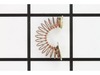 Brush Spring – Part Number: 23-52-0160