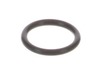 O-ring – Part Number: 213962-5