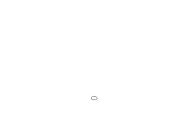 10188475-1-M-DeWALT-N114827-O-Ring