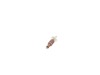10188748-2-S-DeWALT-N147370-Arm, Fan & Brg