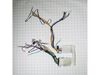 Wire Harness – Part Number: W11027902