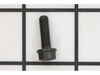 Screw Itxscfm – Part Number: 525755101