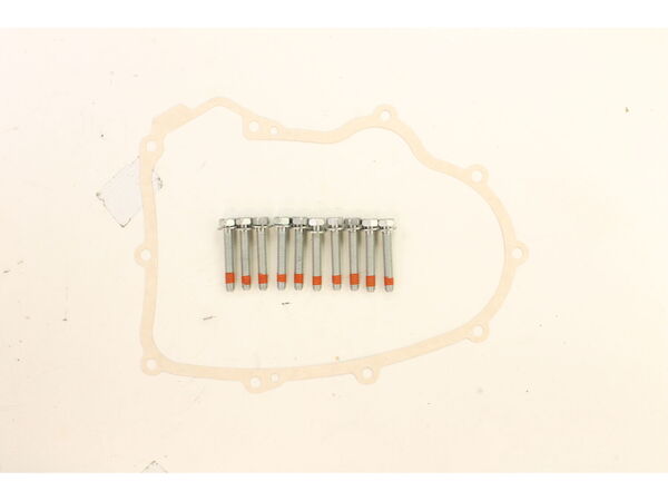 11829358-1-M-Briggs and Stratton-594195-Crankcase Gasket With Bolts