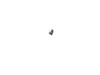 11925993-2-S-DeWALT-330003-82-Ball Bearing