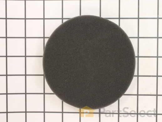 12029206-1-M-Eureka-67836-Foam Filter