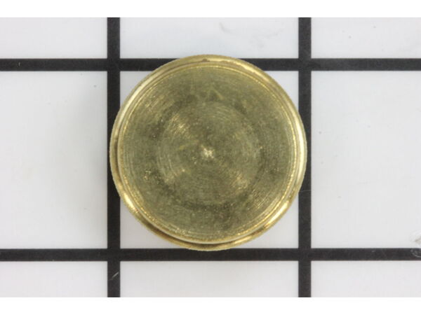 12164177-1-M-Coleman-3000005086-Filler Cap