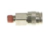 BODY QC .250 IND .25 – Part Number: A19513