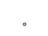 FLANGED HEX NUT – Part Number: N484249