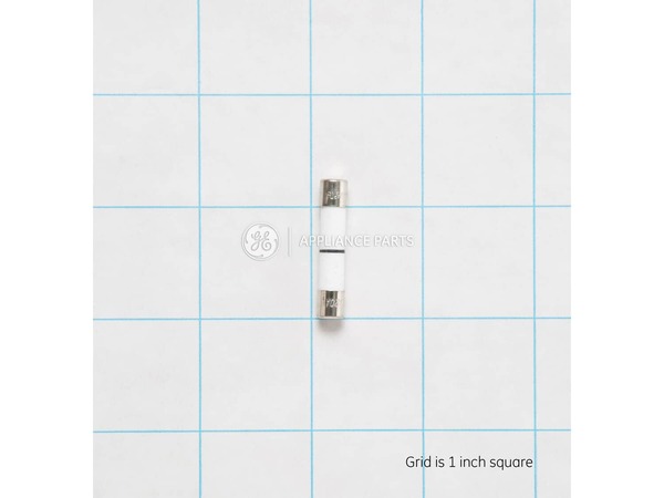 1481237-1-M-GE-WB27X10928        -Microwave Fuse