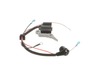 Ignition Assembly – Part Number: 309266003