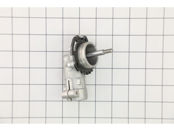 16527776-1-M-Echo-P100003610-Gear Case Assy