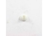 Refrigerator supporter – Part Number: 3015314600
