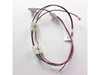 3409148-2-S-Frigidaire-316580611-Spark Ignition Switch Assembly with Wire Harness