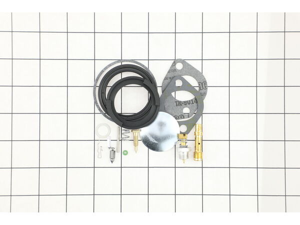 8960554-1-M-Briggs and Stratton-394698-Kit-carb Overhaul