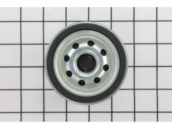 8978720-1-M-Briggs and Stratton-491056-Filter-oil