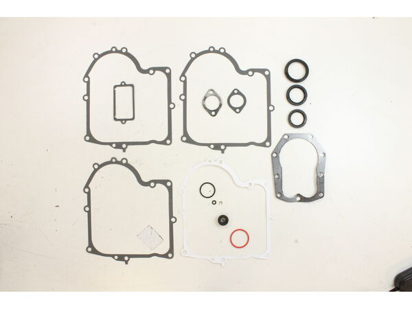 8983439-1-M-Briggs and Stratton-494241-Gasket Set-engine