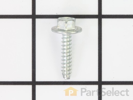 9044045-1-M-Briggs and Stratton-590554-Screw
