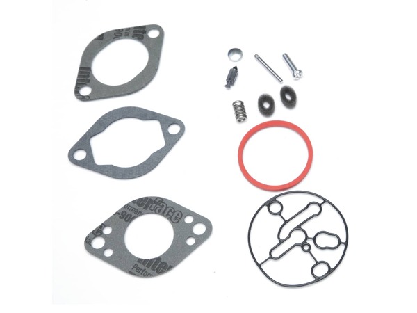9065061-1-M-Briggs and Stratton-696146-Kit-carb Overhaul