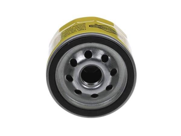 9065087-1-M-Briggs and Stratton-696854-Engine Oil Filter