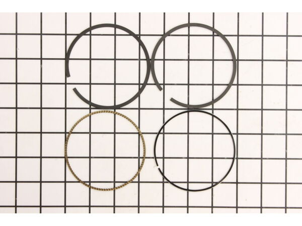 9136995-1-M-Briggs and Stratton-793319-Ring Set