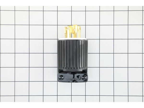 9279329-1-M-Briggs and Stratton-43438GS-Plug, 250V, 30A