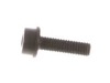 Chainsaw Screw – Part Number: 503200216