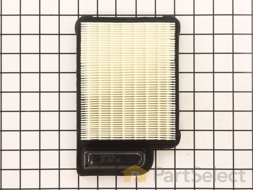 9917887-1-M-Kohler-2008306-S-Element, Air Cleaner