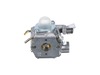 Carburetor Assembly – Part Number: 308054077