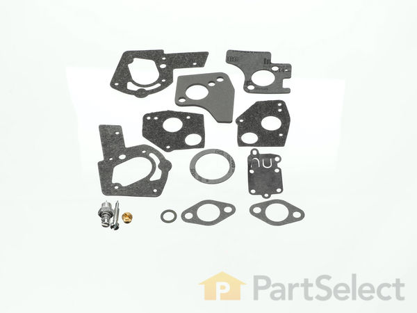 8983479-1-S-Briggs and Stratton-495606-Carburetor Rebuild Kit 360 view