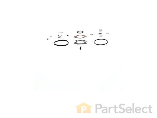 8984098-1-S-Briggs and Stratton-498260-Carburetor Overhaul Kit 360 view